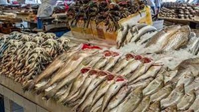 أسعار الأسماك اليوم السبت 3 سبتمبر بسوق العبور.. البلطي يصل إلى 40 جنيه والجمبري 275 جنيه 