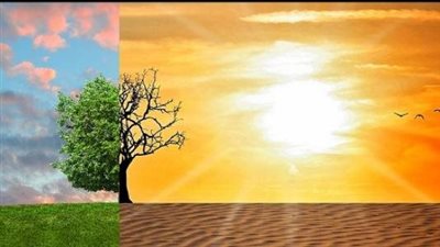 أستاذ دراسات بيئية: 