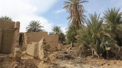 مشروع الأمير محمد بن سلمان يطيل سلامة مساجد الجوف