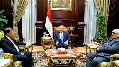 رئيس مجلس للشيوخ يلتقي سفير طاجيكستان بالقاهرة 