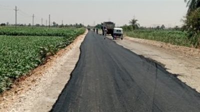 الانتهاء من رصف طريق 