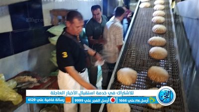 تحرير عشرات المحاضر للمخابز المخالفة في كفر الشيخ 