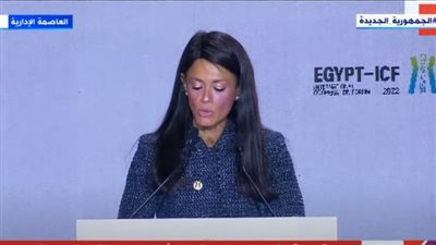 وزيرة التعاون الدولي: الحكومات لن تستطيع بمفردها مواجهة تداعيات تغير المناخ (فيديو)