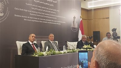 رئيس المحكمة الدستورية: الدولة المصرية قدمت الكثير منذ 30 يونيو وحتى الآن 