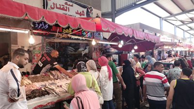 استمرار توافد المواطنين على سوق الأسماك من أبناء بورسعيد والوافدين