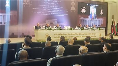 رئيس المحكمة الدستورية: مكافحة الإرهاب ومقاومة الهجرة غير الشرعية من أهم القضايا