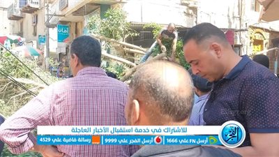 إصابة شخصين إثر سقوط عمود إنارة على شجرة فيقص بالمنوفية