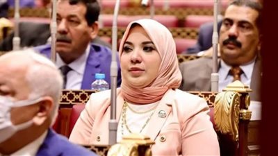 برلمانية: الوعي الوطني ضرورة لمواجهة أكاذيب ضرب جهود التنمية 