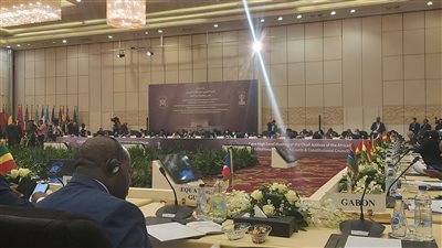 رئيس الدستورية يُثمن حرص السيسي على التعاون القضائي مع إفريقيا