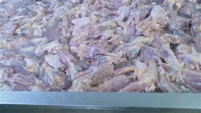 إحباط ترويج 28 طن لحوم وجبن مجهولة المصدر على الأسواق بالجيزة 