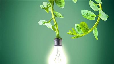 عادل بشارة: مصر مؤهلة لتكون أحد المراكز العالمية في إنتاج الطاقة الخضراء (فيديو)