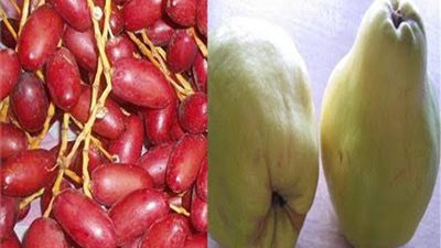 تعرف على عادات الأقباط في عيد النيروز