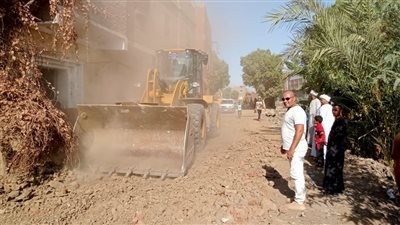 ضمن الموجة الــ20.. إزالة عشش وتعديات على أملاك دولة وزراعة في أبومناع بقنا (صور)