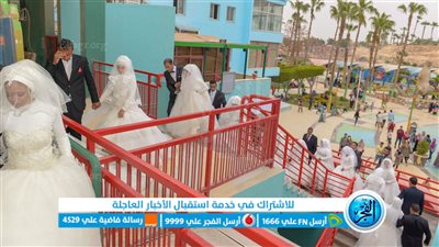 مبادرة لدعم زواج الفتيات اليتيمات بمحافظة المنيا