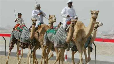 منظم سباق الهجن بالعريش: حرصنا على تقديم تنظيما ليس عاديا