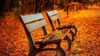 الأرصاد تصدم المصريين بشأن خريف 2023