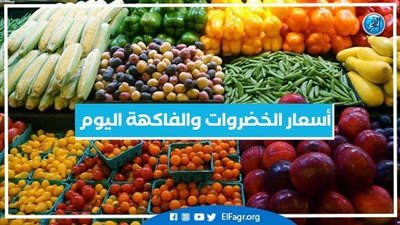 أسعار الخضروات والفاكهة اليوم الثلاثاء 20-9-2022 بمحافظة الإسكندرية
