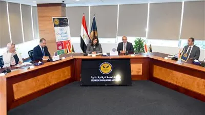 عاجل.. شركة مساهمة لاستثمار أموال المصريين بالخارج فى المشروعات القومية