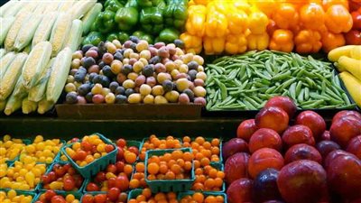 الزراعة: كل قارات العالم تستخدم المنتج الزراعي المصري (فيديو)