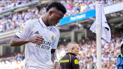 ريال مدريد يدعم فينيسيوس جونيور بعد تعرضه للعنصرية.. والملكي يصدر بيانا رسميا