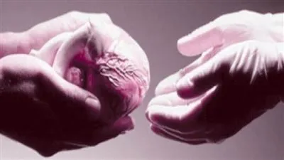 أول مصرية توثق توكيل رسمي للتبرع بأعضائها بعد الوفاة توجه مناشدة إلى السيسي