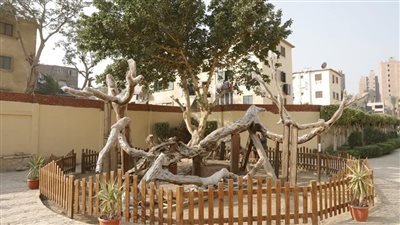 الآثار تكشف تفاصيل تطوير منطقة شجرة مريم (فيديو)