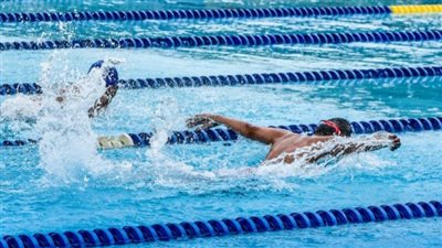 تعرف على تفاصيل تحقيق مصر 18 ميدالية في بطولة العالم للسباحة 