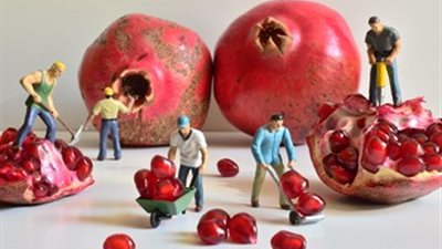 تعرف على فوائد وأضرار ثمرة الرمان