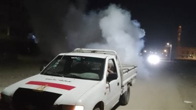 خطة لفحص التلاميذ وتكثيف أعمال الرش لمقاومة البعوض والحشرات في الدقهلية