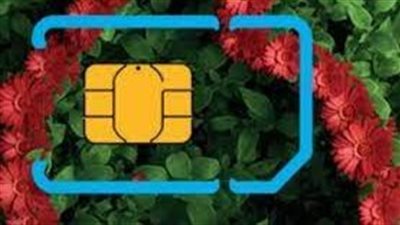 التفاصيل الكاملة حول أول شريحة محمول صديقة للبيئة.. سيتم طرحها قريبا