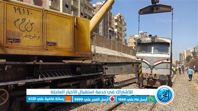 محاولات لإعادة تسيير قطار دمنهور (صور)