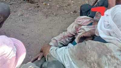 جمع المحصول فسقطت على رأسه النخلة