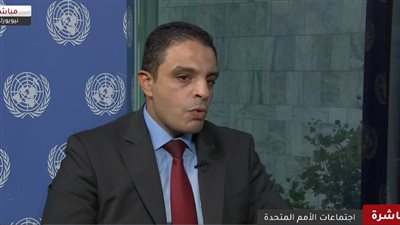 جامعة الدول العربية: التنافس بين القوى الكبرى يحول دون مواجهة الأزمات (فيديو) 