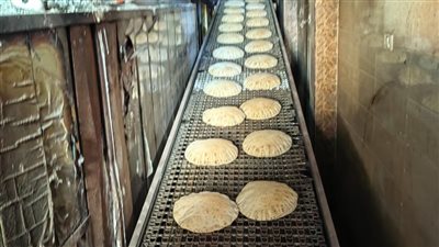 تفاصيل حملات تموينية في 5 مراكز بالدقهلية 