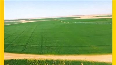 الاسكان: 5 مشروعات مصرية تفوز بمسابقة التحكيم العالمية لأفضل الأعمال الإنشائية في العالم 