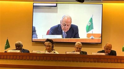 ابوالغيط يدعو الدول الأفريقية لدعم حصول فلسطين على عضوية كاملة بالأمم المتحدة