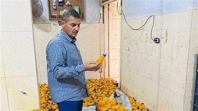 تفاصيل حملة رقابية تموينية مكبرة في 3 مراكز بالدقهلية