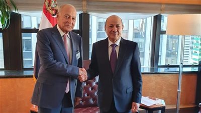 أبو الغيط يلتقي رئيس المجلس الرئاسي اليمني 