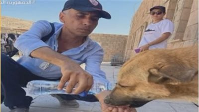الراحمون يرحمهم الله.. مرشد سياحي يروي عطش كلب بكف يده (فيديو)