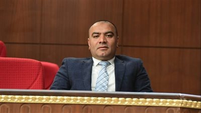 برلماني يتقدم بإقتراح برغبة لحذف تطبيق التيك توك في مصر