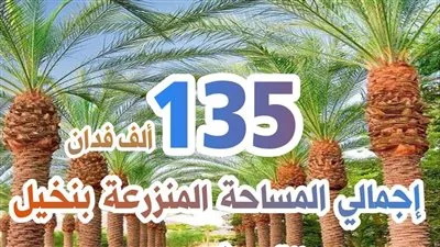 الزراعة: مصر الأولى في إنتاج نخيل التمر وتمتلك 15.5 مليون نخلة