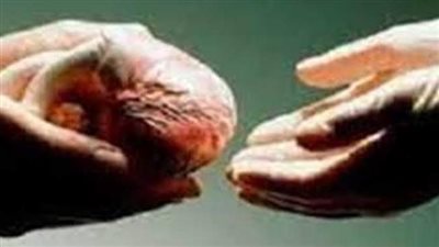 إمام مسجد يتبرع بفص من كبده لأحد أبناء قريته بالدقهلية 