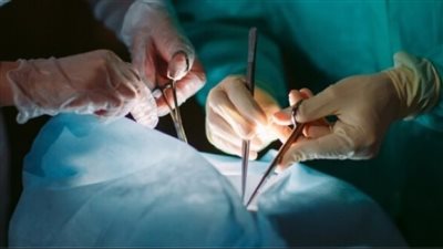 ما الأعضاء التي من الصعب زراعتها بالجسم أستاذ الكبد يُجيب (فيديو)