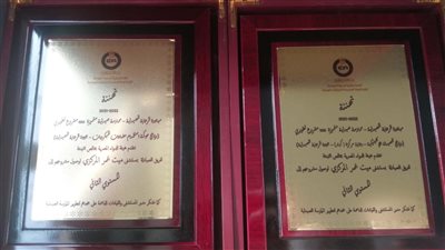 صحة الدقهلية: مستشفى ميت غمر تفوز بدرعين للتميز بمبادرة الرعاية الصيدلية