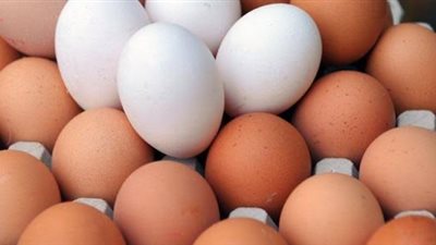 أسعار البيض اليوم الثلاثاء 27 سبتمبر 2022 في السوق المصري