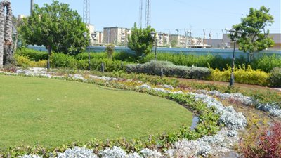 محافظ بورسعيد يتفقد الحديقة الدولية بحي الضواحي