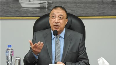 محافظ الإسكندرية يكشف مشروعات الدولة لحماية الشواطئ من التغيرات المناخية 