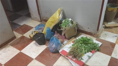 قرار بغلق معمل تحاليل ومركز للعلاج الطبيعي بالمنوفية (تفاصيل)