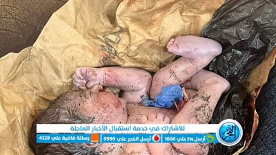 العثور على طفل رضيع داخل كوم قمامة بالمنوفية