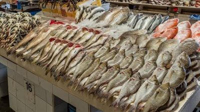 أسعار الاسماك اليوم 29 سبتمبر 2022 في الاسواق المصرية 